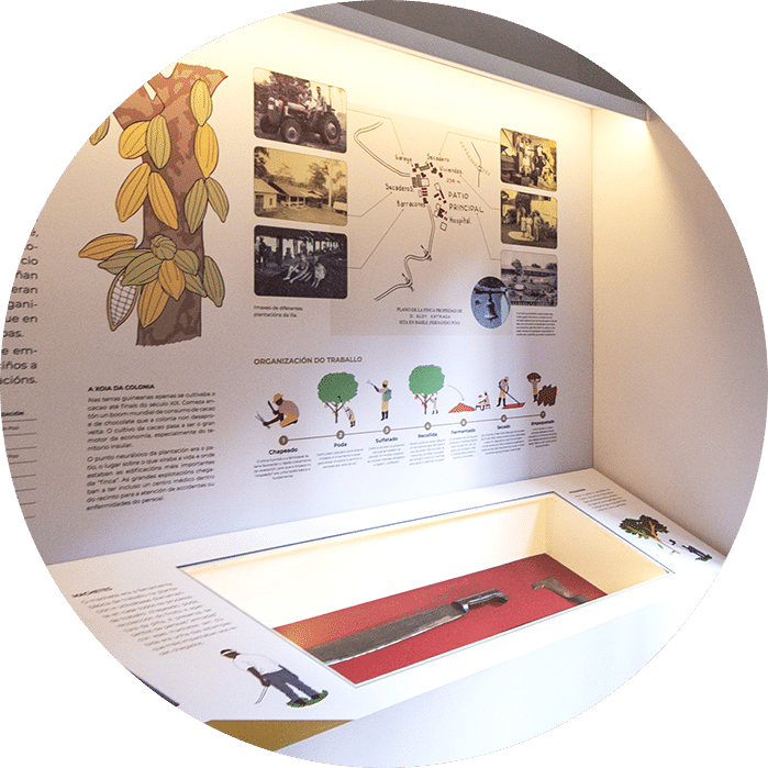 museo emigracion guinea vegetacion